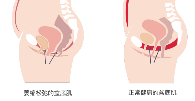 40206155.png 222.png