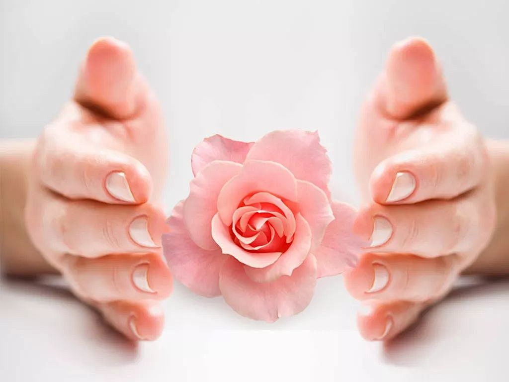 48743393.png 798052d6-5e06-4778-b83d-c81d0d7f9200.png