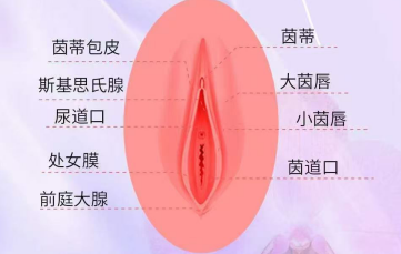 做處女膜修復手術價格多少？到深圳怡康醫(yī)院做貴不貴？